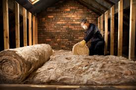 Best Insulation Removal  in Hampton, VA