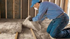 Best Insulation for Existing Homes  in Hampton, VA