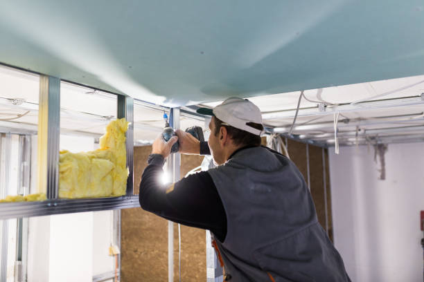 Best Soundproof Insulation  in Hampton, VA