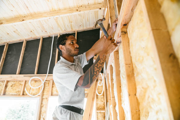 Best Blown-In Insulation  in Hampton, VA